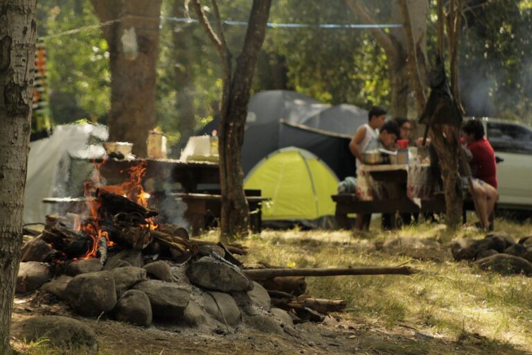 Camping QUILLAILEO 768x512