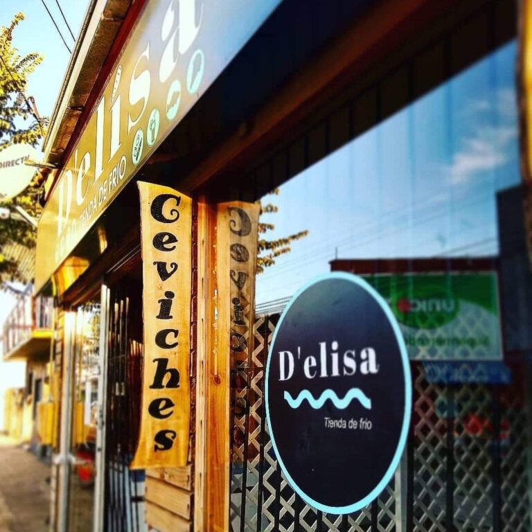 Congelados D Elisa 768x768