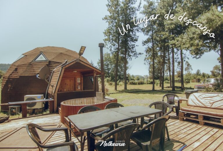 DOMOS NELKEWUE 768x519