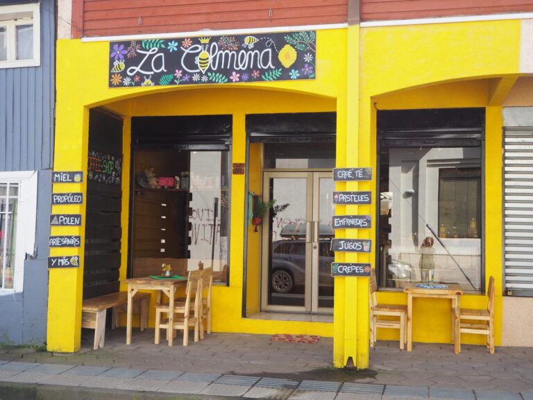 481075895 579454545086230 4850402739991378219 n 768x576