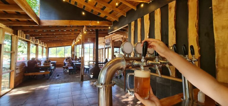 481178948 1112962747444725 1078760282130213820 n 768x359