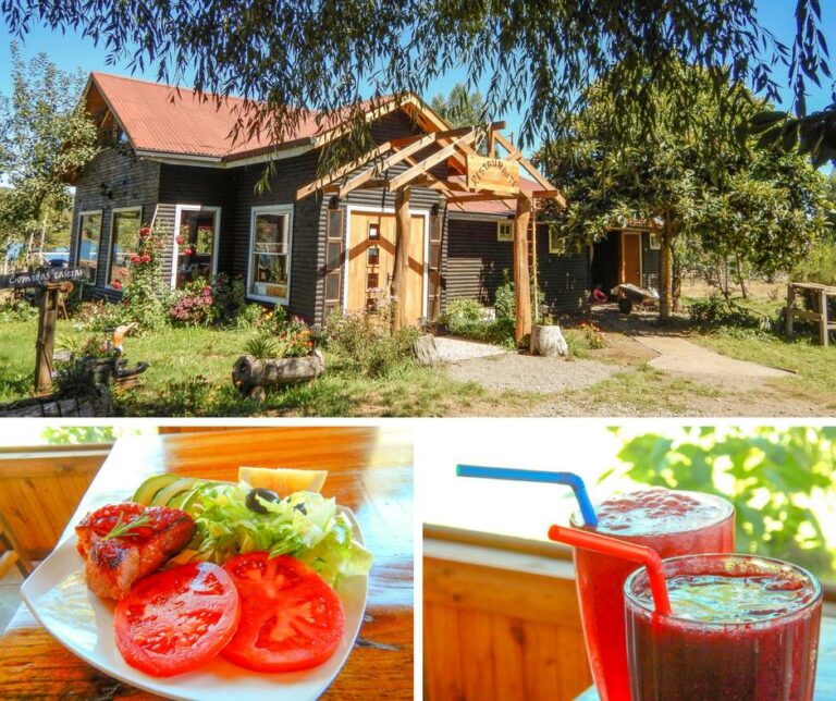 56474584 1104146716462437 4375204414734991360 n 1 768x644