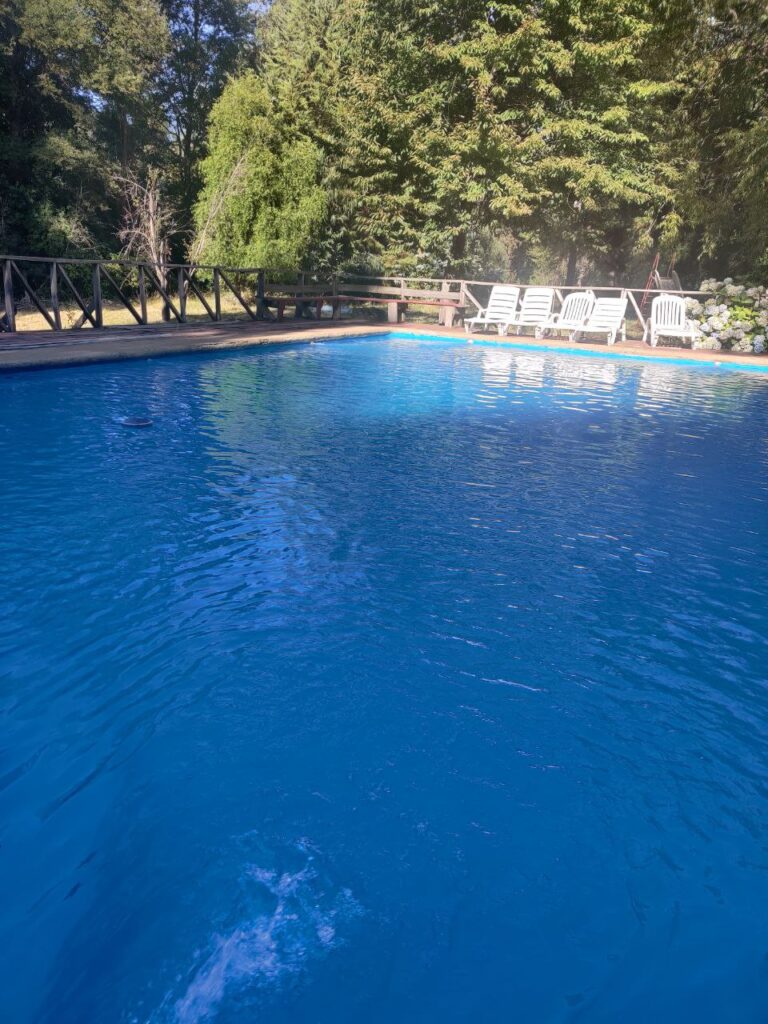 photo 2026 01 20 19 15 39 768x1024